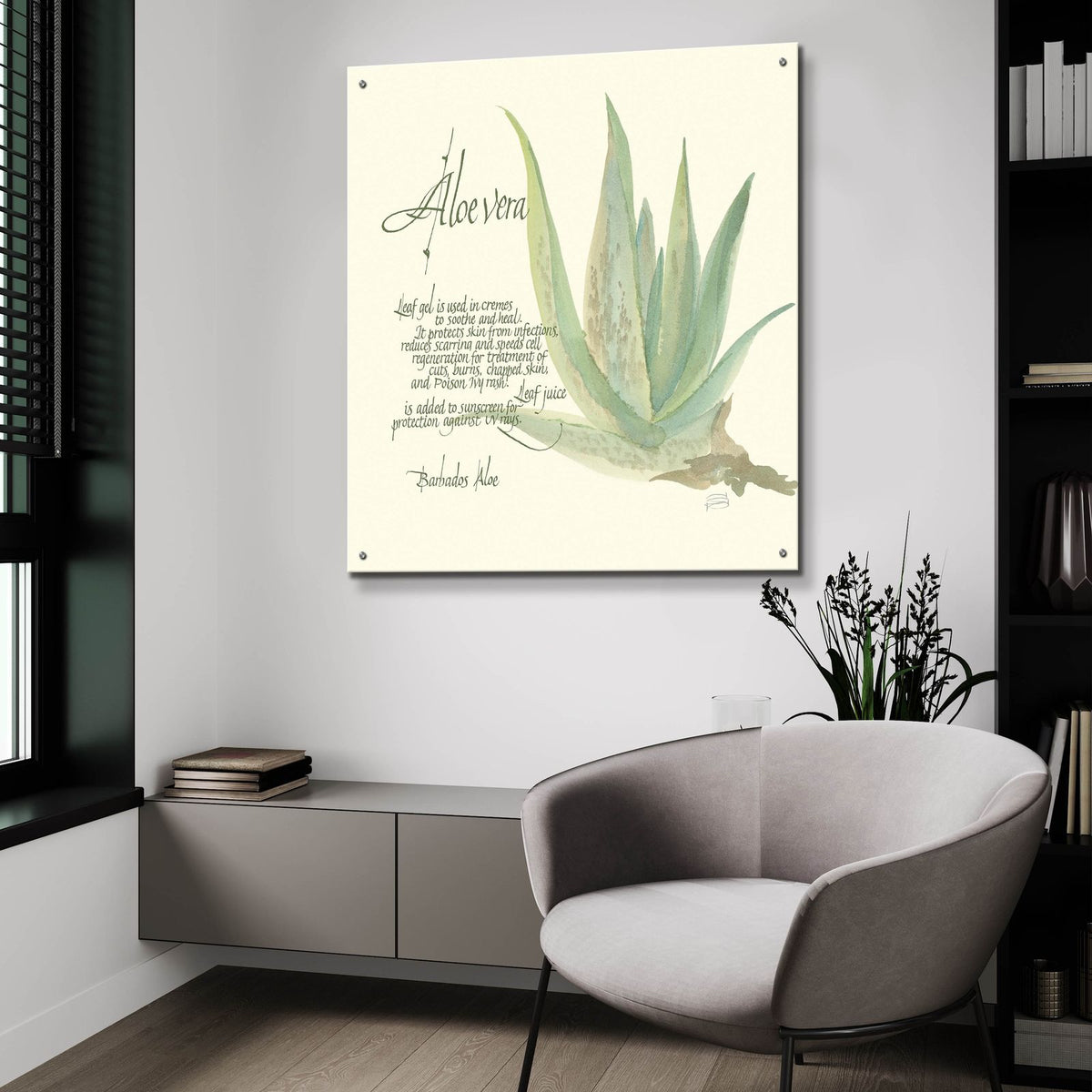Aloe Vera by Chris Paschke - 36x36 acrylic wall art in a room