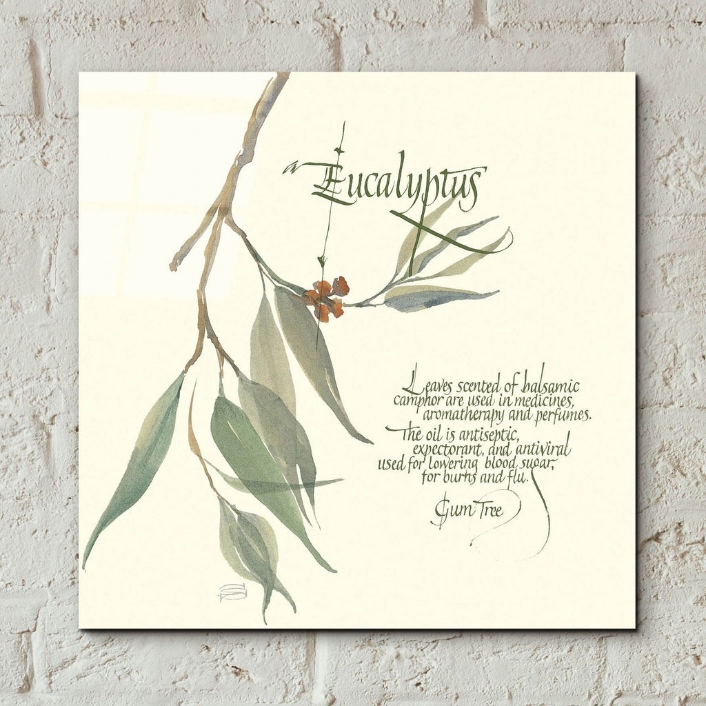 Eucalyptus by Chris Paschke - 12x12 acrylic wall art in a room