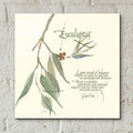 Eucalyptus by Chris Paschke - 12x12 acrylic wall art in a room