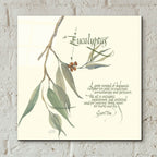 Eucalyptus by Chris Paschke - 12x12 acrylic wall art in a room