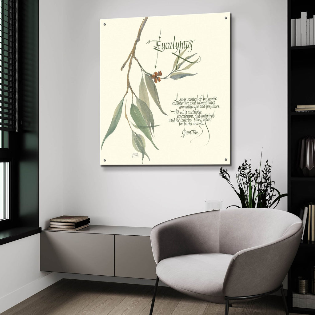 Eucalyptus by Chris Paschke - 36x36 acrylic wall art in a room