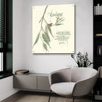 Eucalyptus by Chris Paschke - 36x36 acrylic wall art in a room