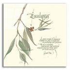 Eucalyptus by Chris Paschke acrylic glass wall art
