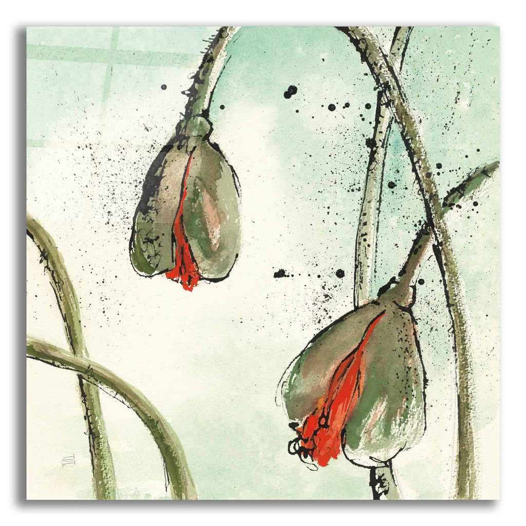Not A California Poppy 2 by Chris Paschke acrylic glass wall art