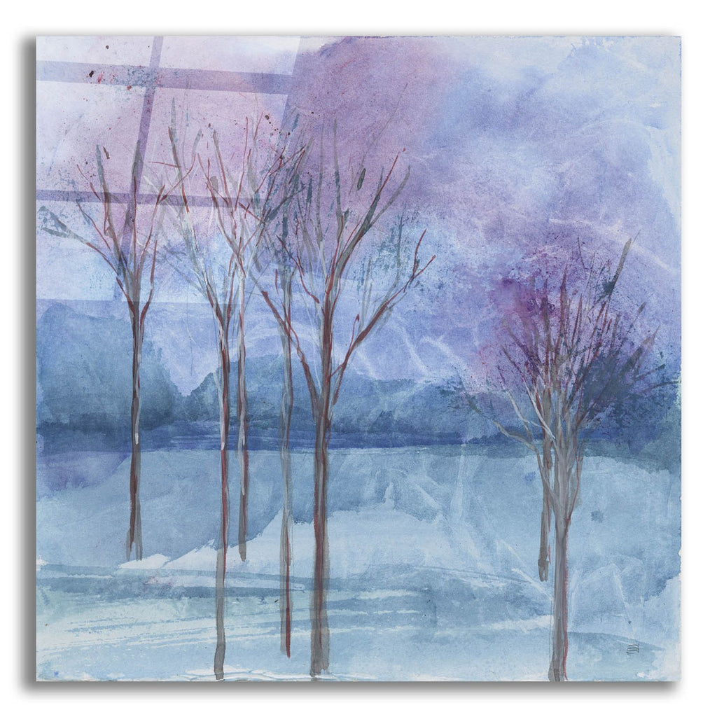 Evening Serenade 1 by Chris Paschke acrylic glass wall art