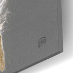 Epic Art 'Gold Feathers 6 On Grey'  by Chris Paschke Acrylic Glass Wall Art,16x24