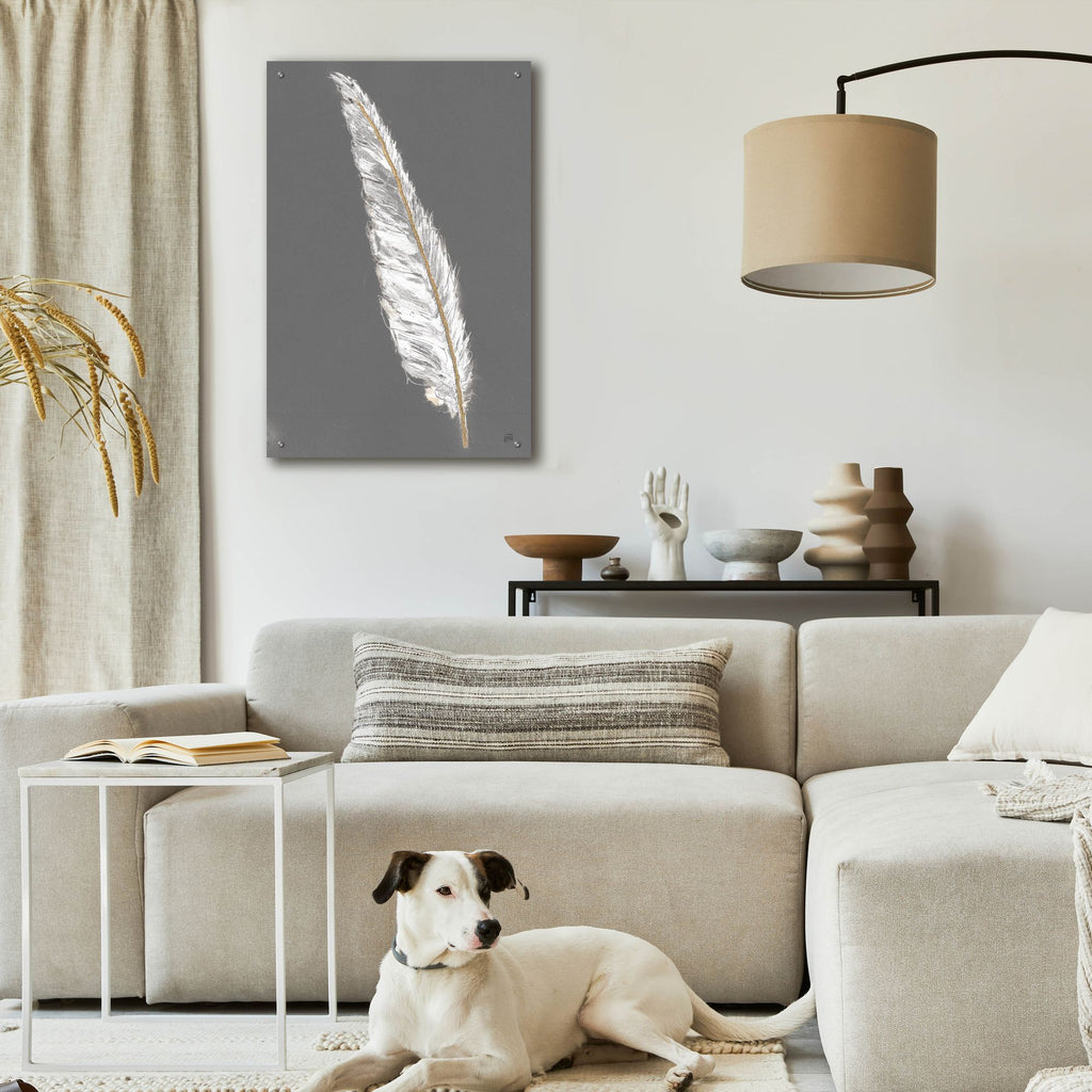 Epic Art 'Gold Feathers 6 On Grey'  by Chris Paschke Acrylic Glass Wall Art,24x36
