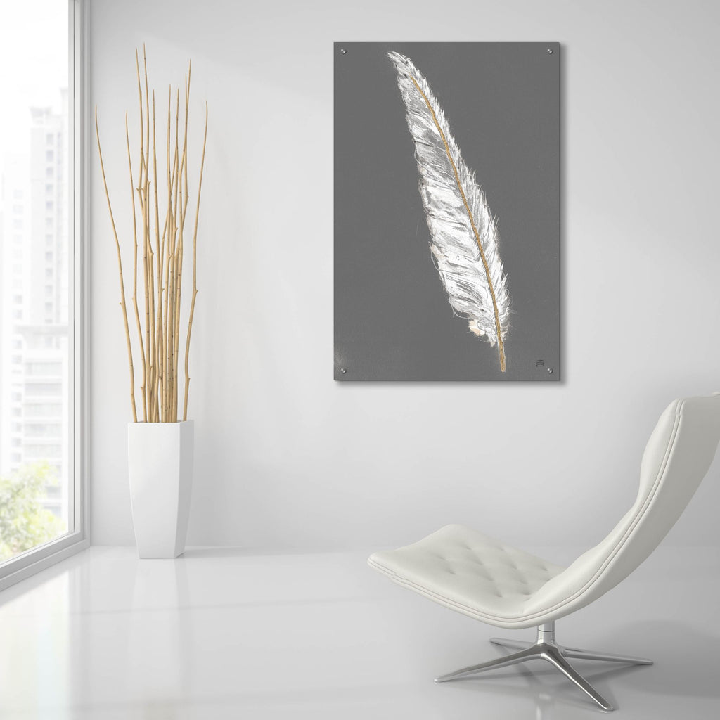 Epic Art 'Gold Feathers 6 On Grey'  by Chris Paschke Acrylic Glass Wall Art,24x36
