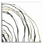 Not Quite Concentric 2 by Chris Paschke acrylic glass wall art
