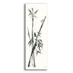 Longevity 2 by Chris Paschke acrylic glass wall art