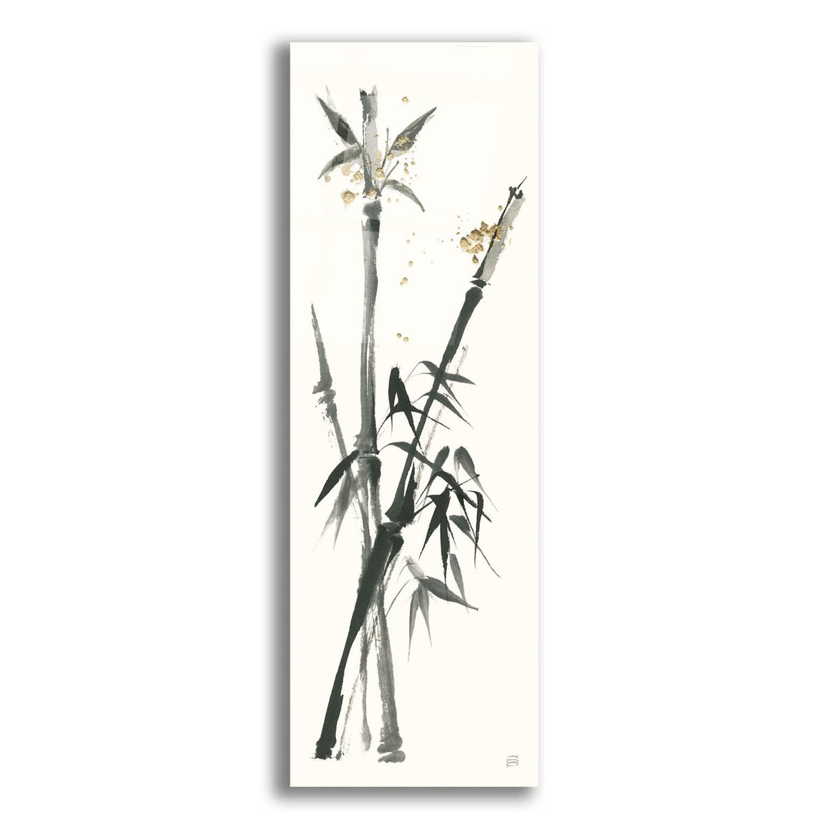 Longevity 2 by Chris Paschke acrylic glass wall art