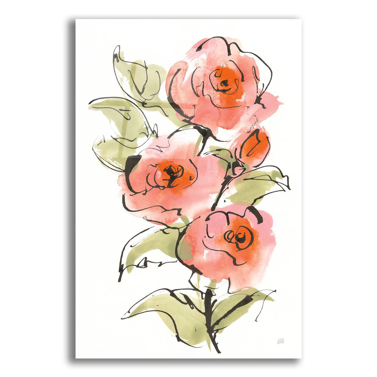 Smooth Rose 1 by Chris Paschke acrylic glass wall art
