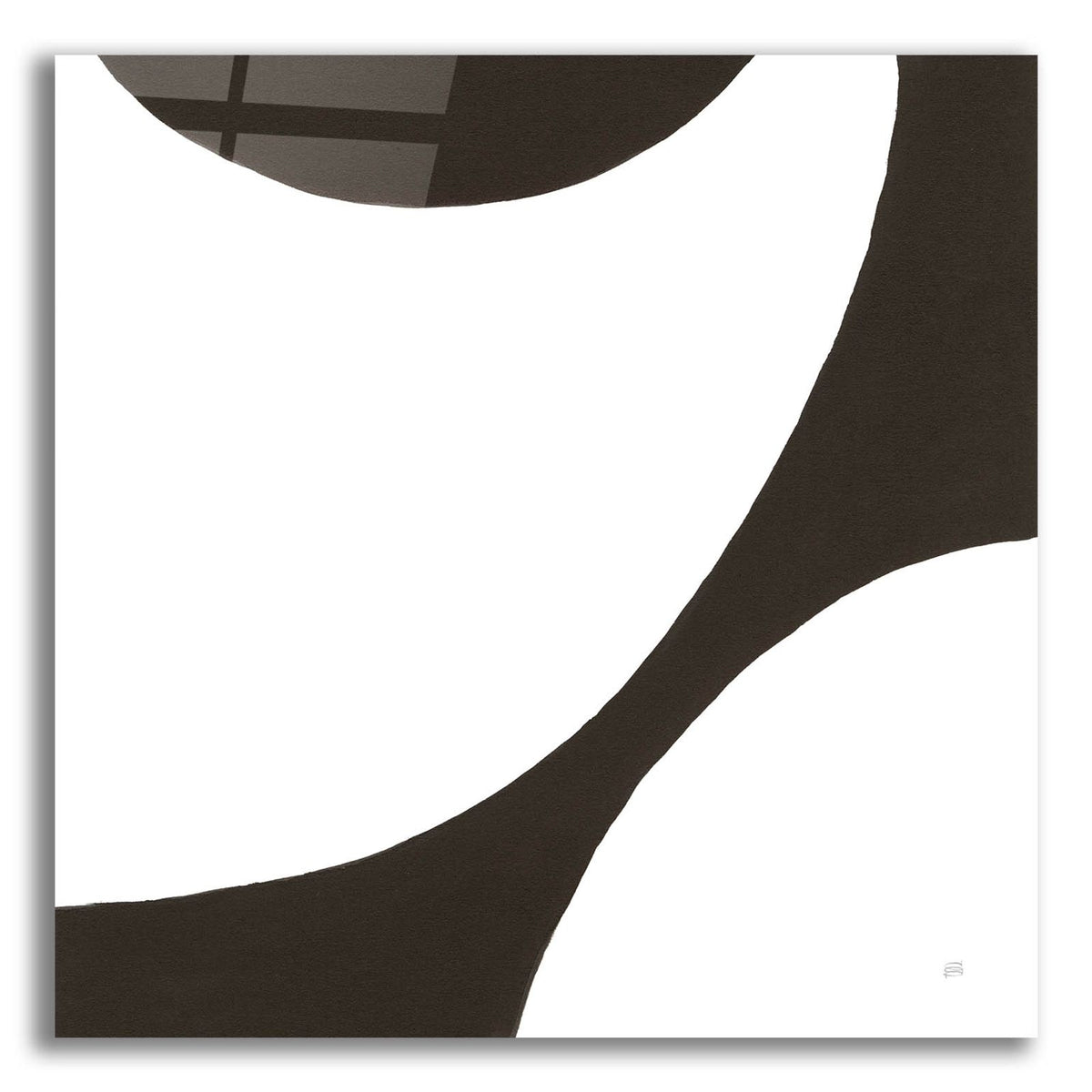 Curvilinear 6 by Chris Paschke acrylic glass wall art