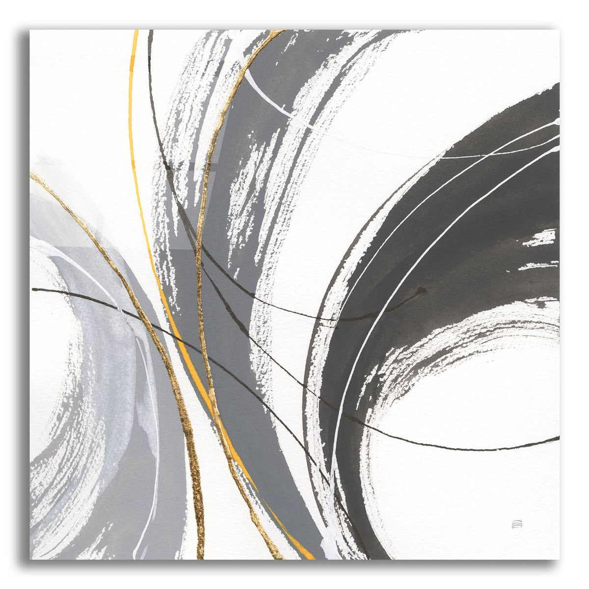 Webbed 1 by Chris Paschke acrylic glass wall art