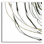 Not Quite Concentric 3 by Chris Paschke acrylic glass wall art