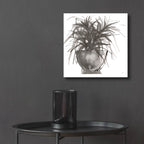 Epic Art 'Sunroom Sketch 1'  by Chris Paschke Acrylic Glass Wall Art,12x12