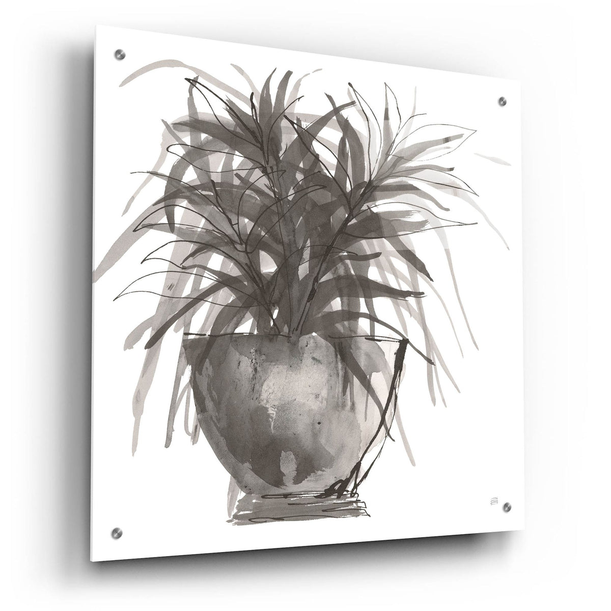 Epic Art 'Sunroom Sketch 1'  by Chris Paschke Acrylic Glass Wall Art,24x24