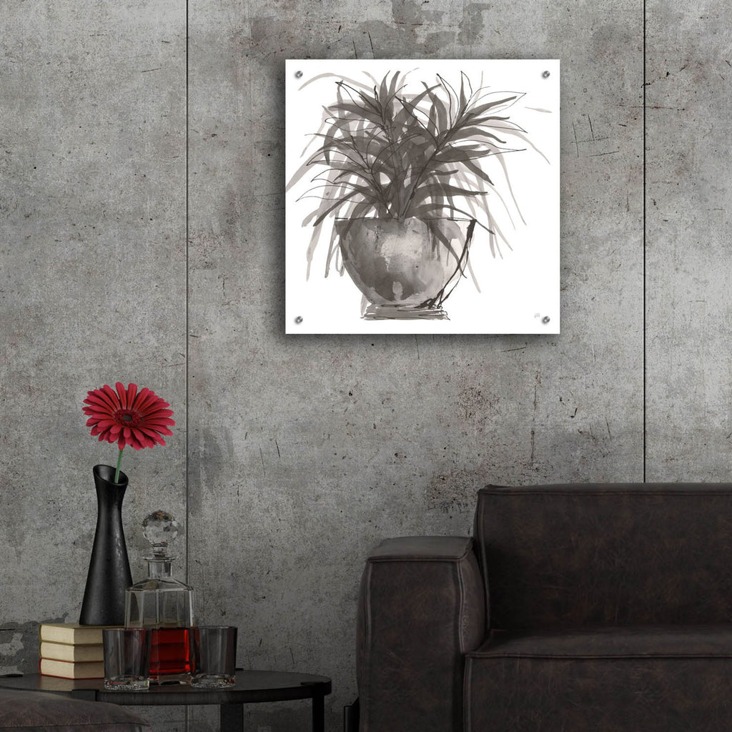Epic Art 'Sunroom Sketch 1'  by Chris Paschke Acrylic Glass Wall Art,24x24