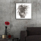 Epic Art 'Sunroom Sketch 1'  by Chris Paschke Acrylic Glass Wall Art,24x24