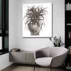 Epic Art 'Sunroom Sketch 1'  by Chris Paschke Acrylic Glass Wall Art,36x36