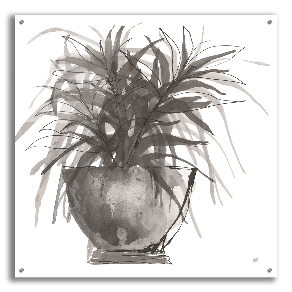 Epic Art 'Sunroom Sketch 1'  by Chris Paschke Acrylic Glass Wall Art,36x36