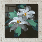 Epic Art 'Clematis 1'  by Chris Paschke Acrylic Glass Wall Art,12x12