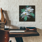 Epic Art 'Clematis 1'  by Chris Paschke Acrylic Glass Wall Art,12x12