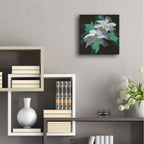 Epic Art 'Clematis 1'  by Chris Paschke Acrylic Glass Wall Art,12x12
