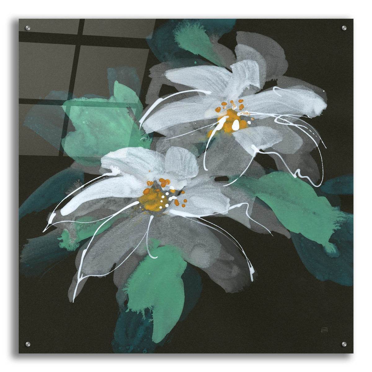 Epic Art 'Clematis 1'  by Chris Paschke Acrylic Glass Wall Art,36x36