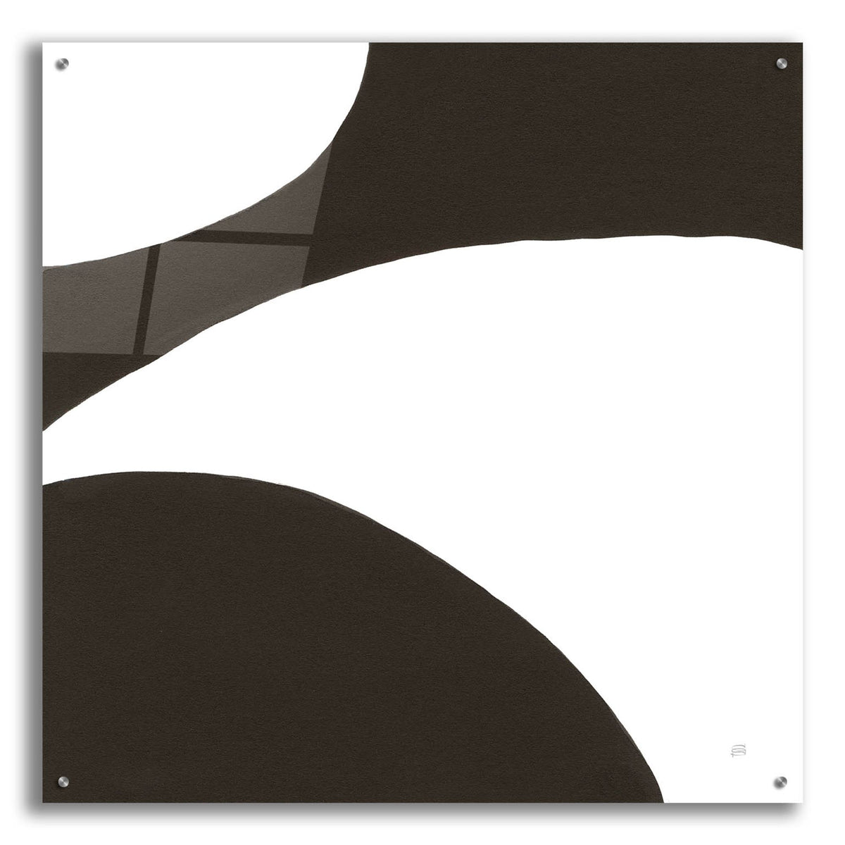 Epic Art 'Curvilinear 7'  by Chris Paschke Acrylic Glass Wall Art,36x36