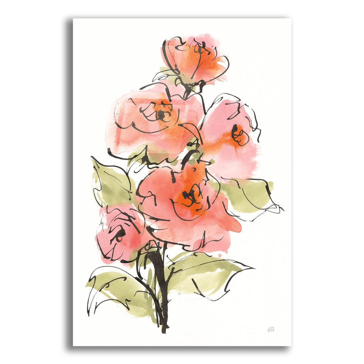 Smooth Rose 2 by Chris Paschke acrylic glass wall art
