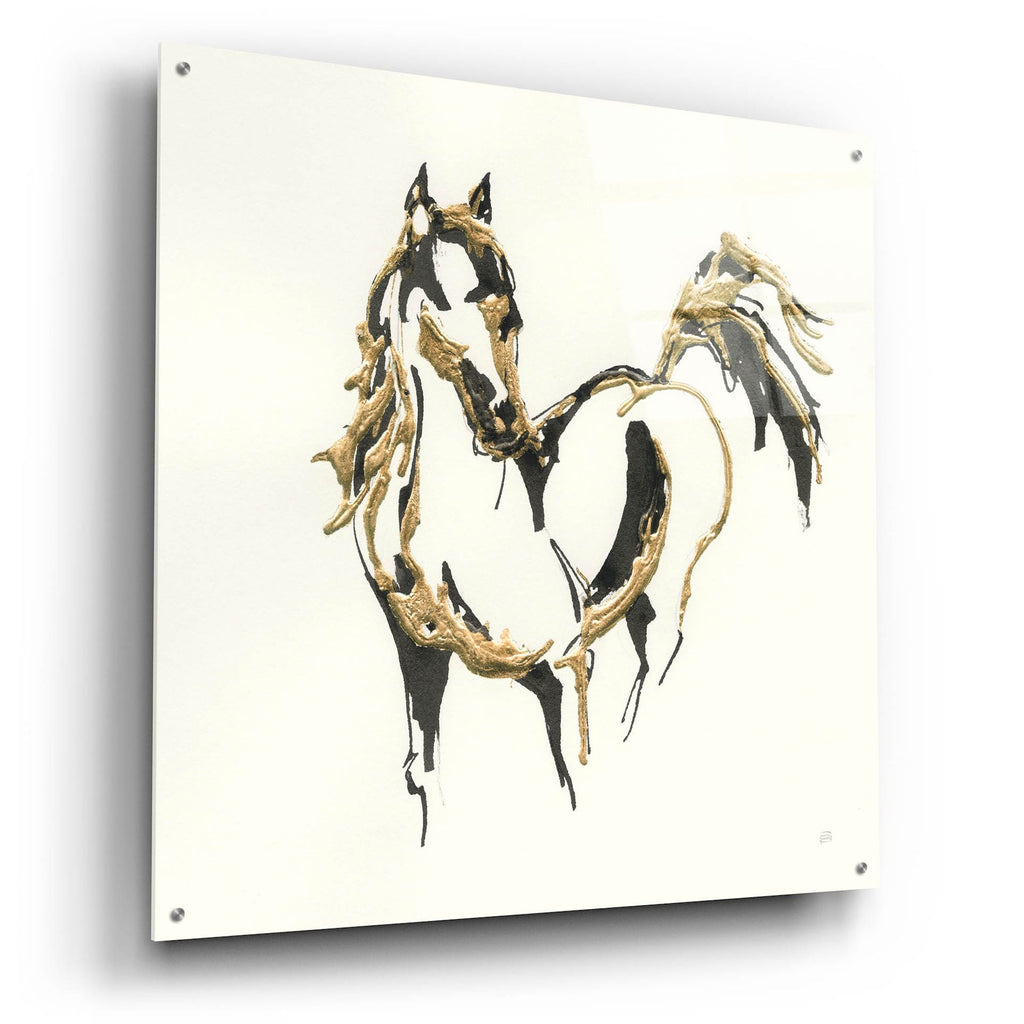 Epic Art 'Golden Horse 7'  by Chris Paschke Acrylic Glass Wall Art,36x36
