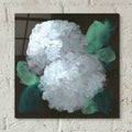 Hydrangea 2 by Chris Paschke - 12x12 acrylic wall art in a room