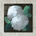 Hydrangea 2 by Chris Paschke - 12x12 acrylic wall art in a room