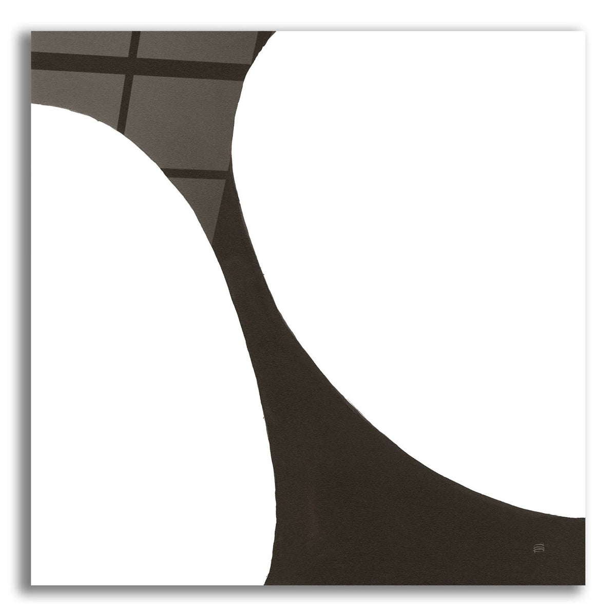 Curvilinear V by Chris Paschke acrylic glass wall art