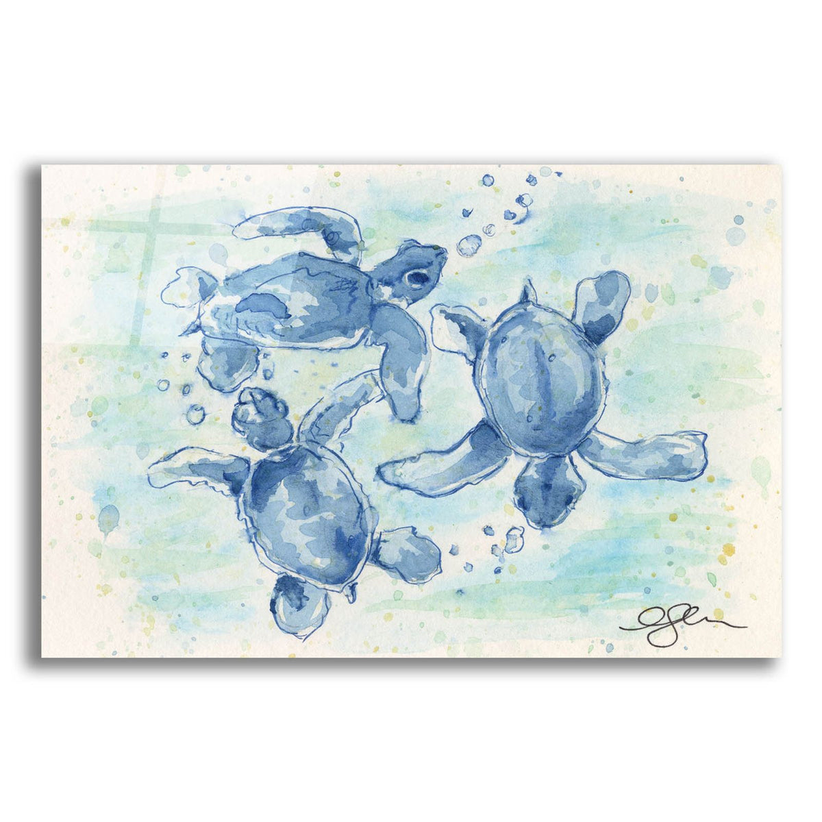 Baby Sea Turtles by Anika Goodhue acrylic glass wall art
