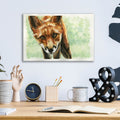 Curious Fox by Anika Goodhue - 16x12 acrylic wall art in a room
