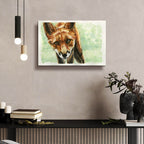 Curious Fox by Anika Goodhue - 24x16 acrylic wall art in a room