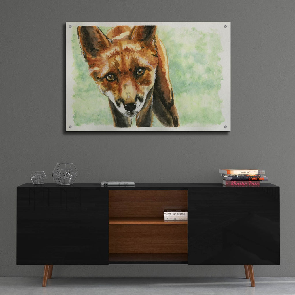 Curious Fox by Anika Goodhue - 36x24 acrylic wall art in a room
