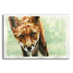 Curious Fox by Anika Goodhue acrylic glass wall art