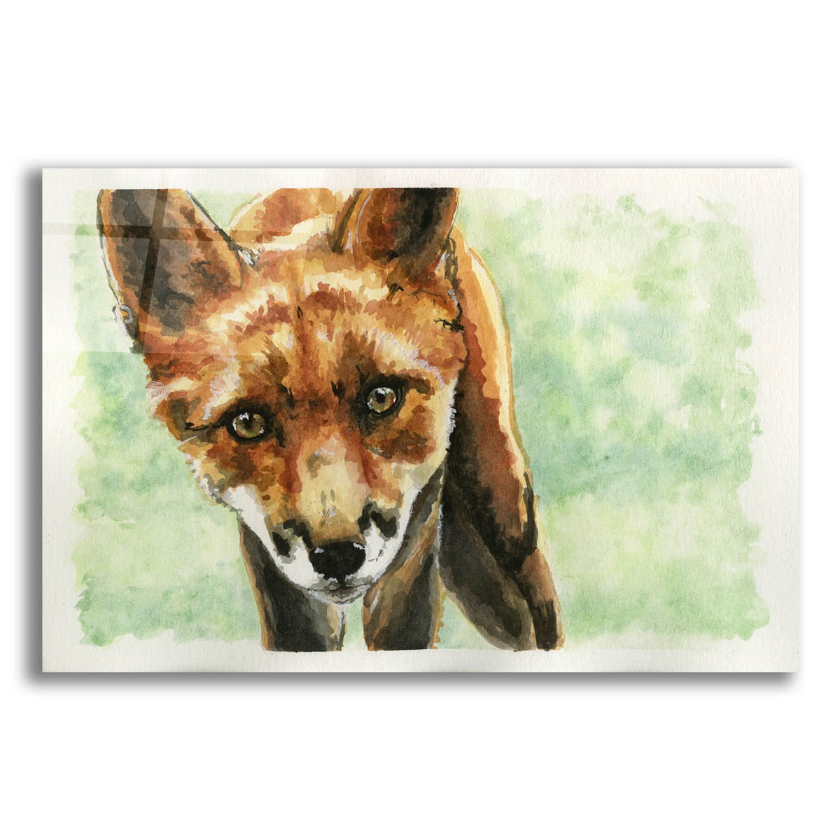 Curious Fox by Anika Goodhue acrylic glass wall art