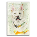 Heterochromia Blep by Anika Goodhue acrylic glass wall art