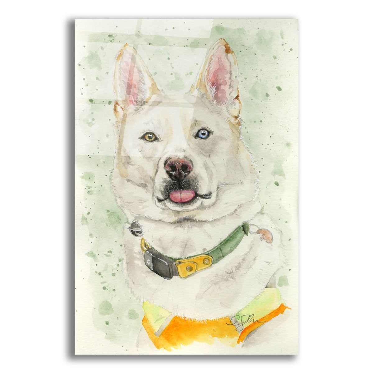 Heterochromia Blep by Anika Goodhue acrylic glass wall art