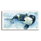 Laundromat Orca by Anika Goodhue acrylic glass wall art