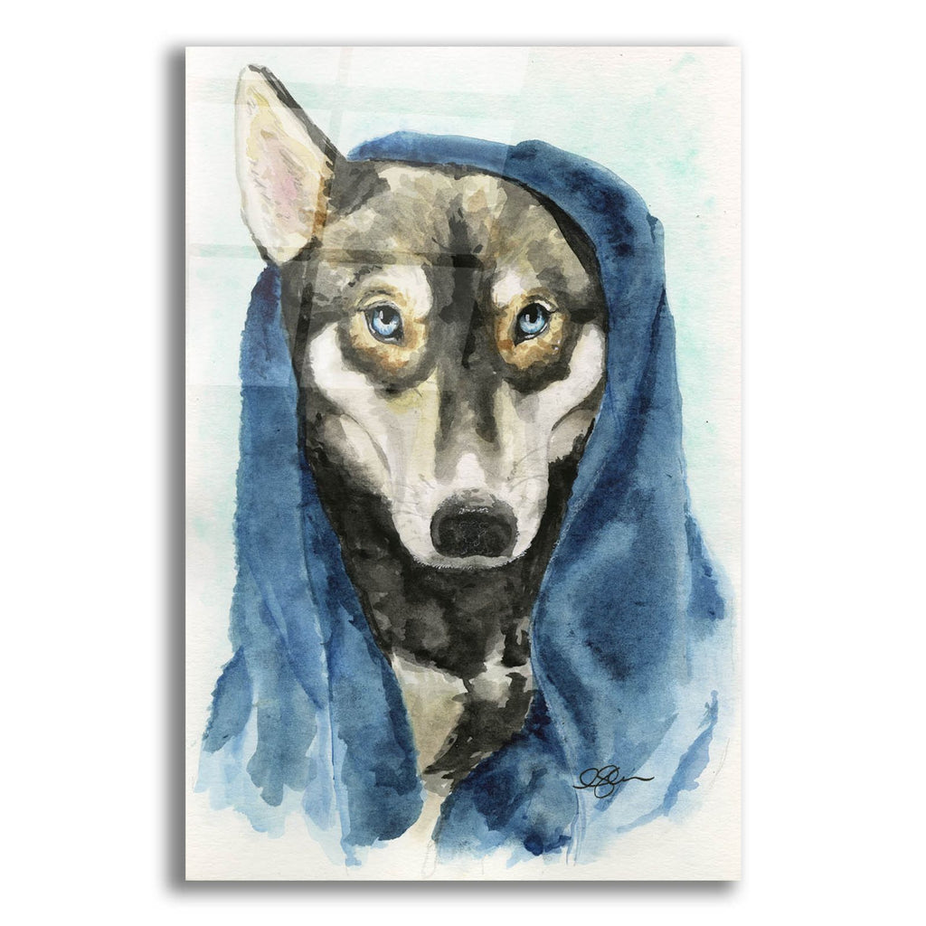 Puppy Storm After A Bath by Anika Goodhue acrylic glass wall art