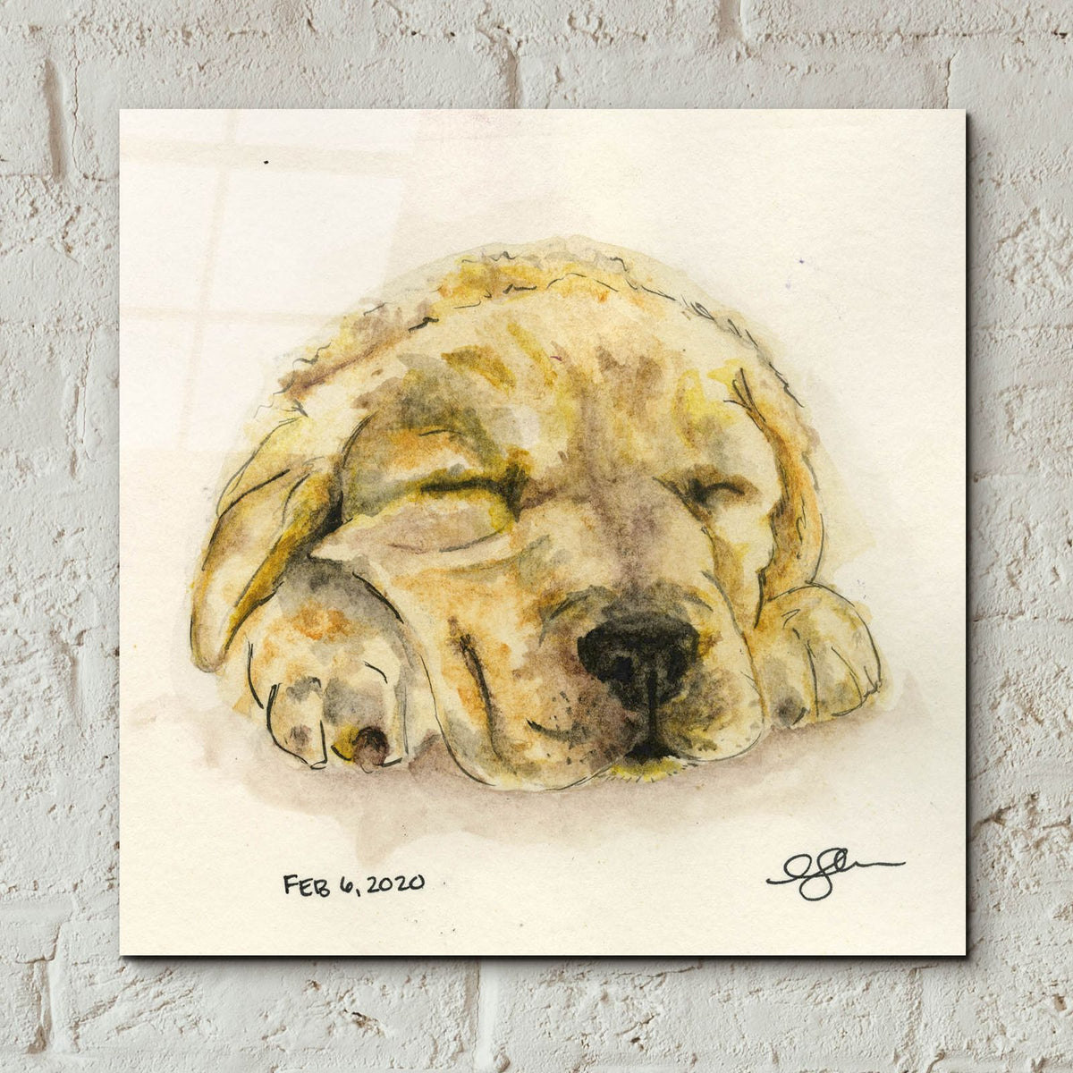 Sleeping Pup by Anika Goodhue - 12x12 acrylic wall art in a room