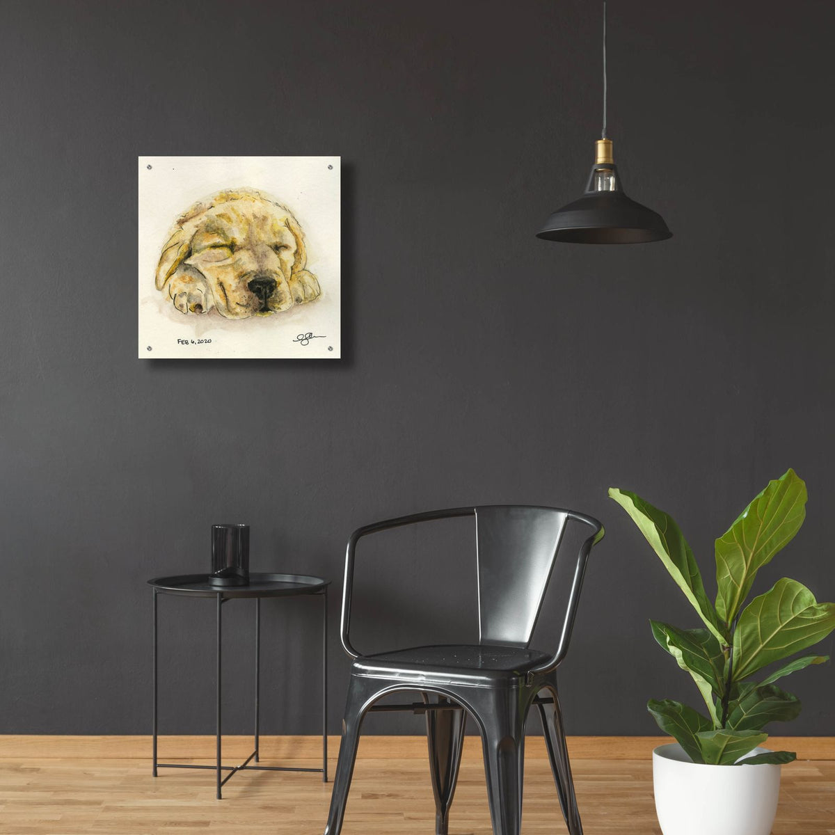 Sleeping Pup by Anika Goodhue - 24x24 acrylic wall art in a room