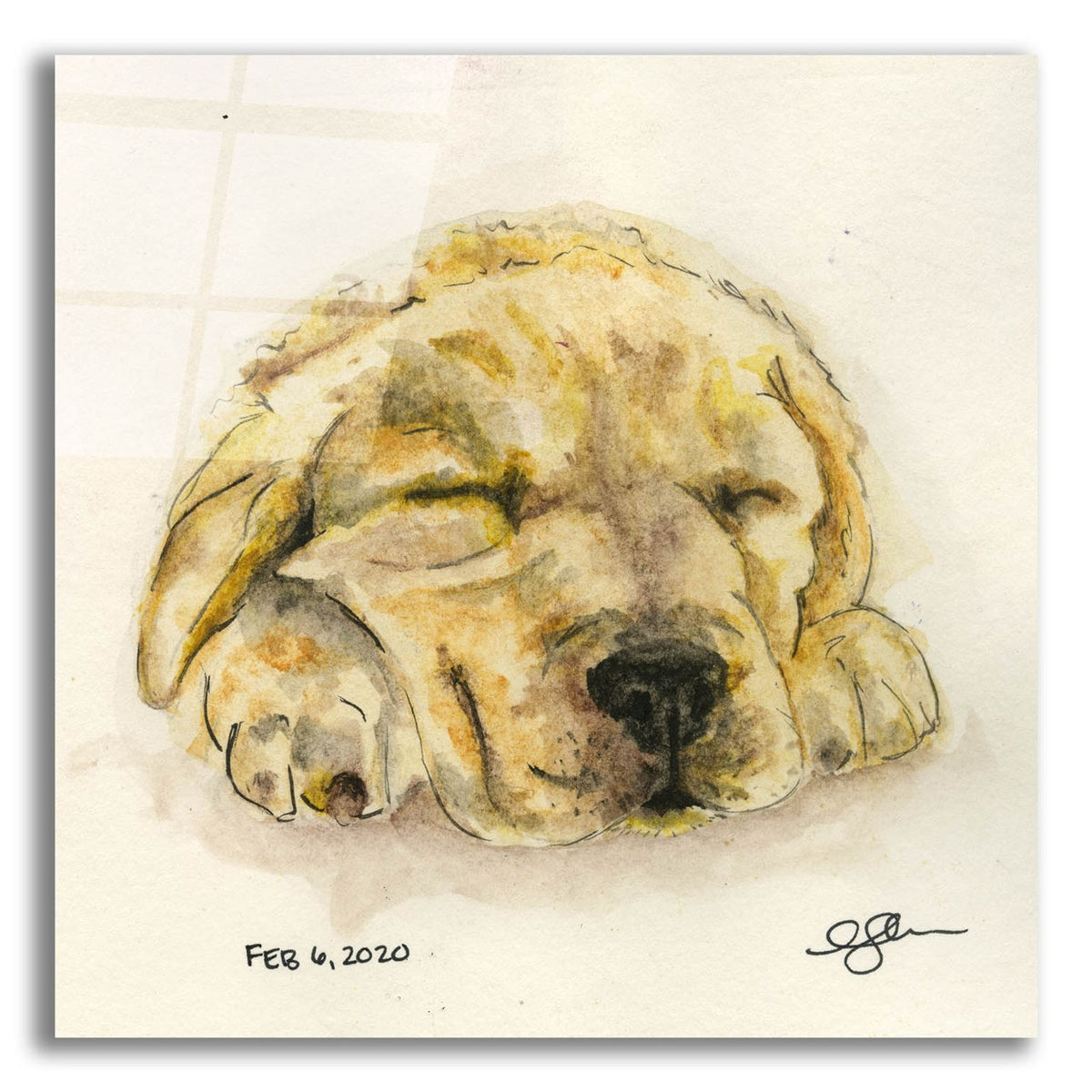 Sleeping Pup by Anika Goodhue acrylic glass wall art