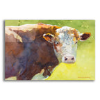 Maybell by Annelein Beukenkamp acrylic glass wall art
