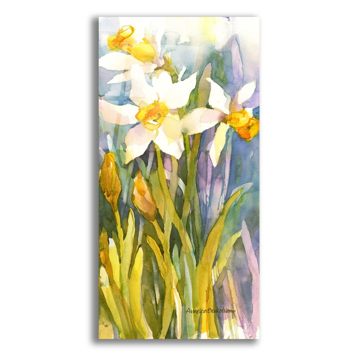 Narcissus by Annelein Beukenkamp acrylic glass wall art